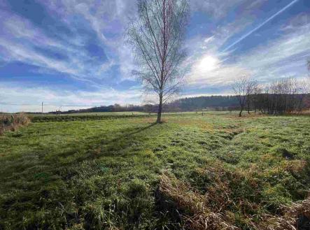 Prodej - pozemek pro bydlení, 3 703 m²