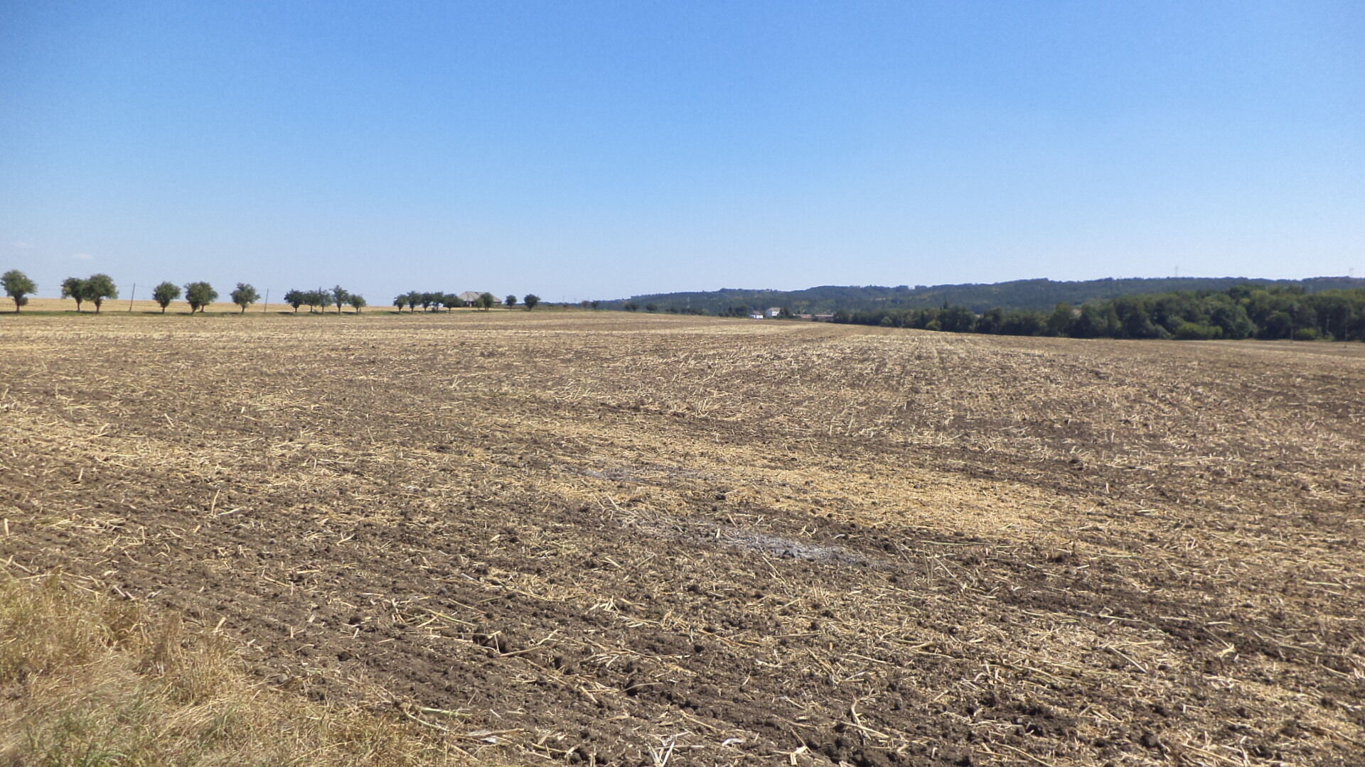 prodej pozemku k.ú. Kněžice u Podbořan