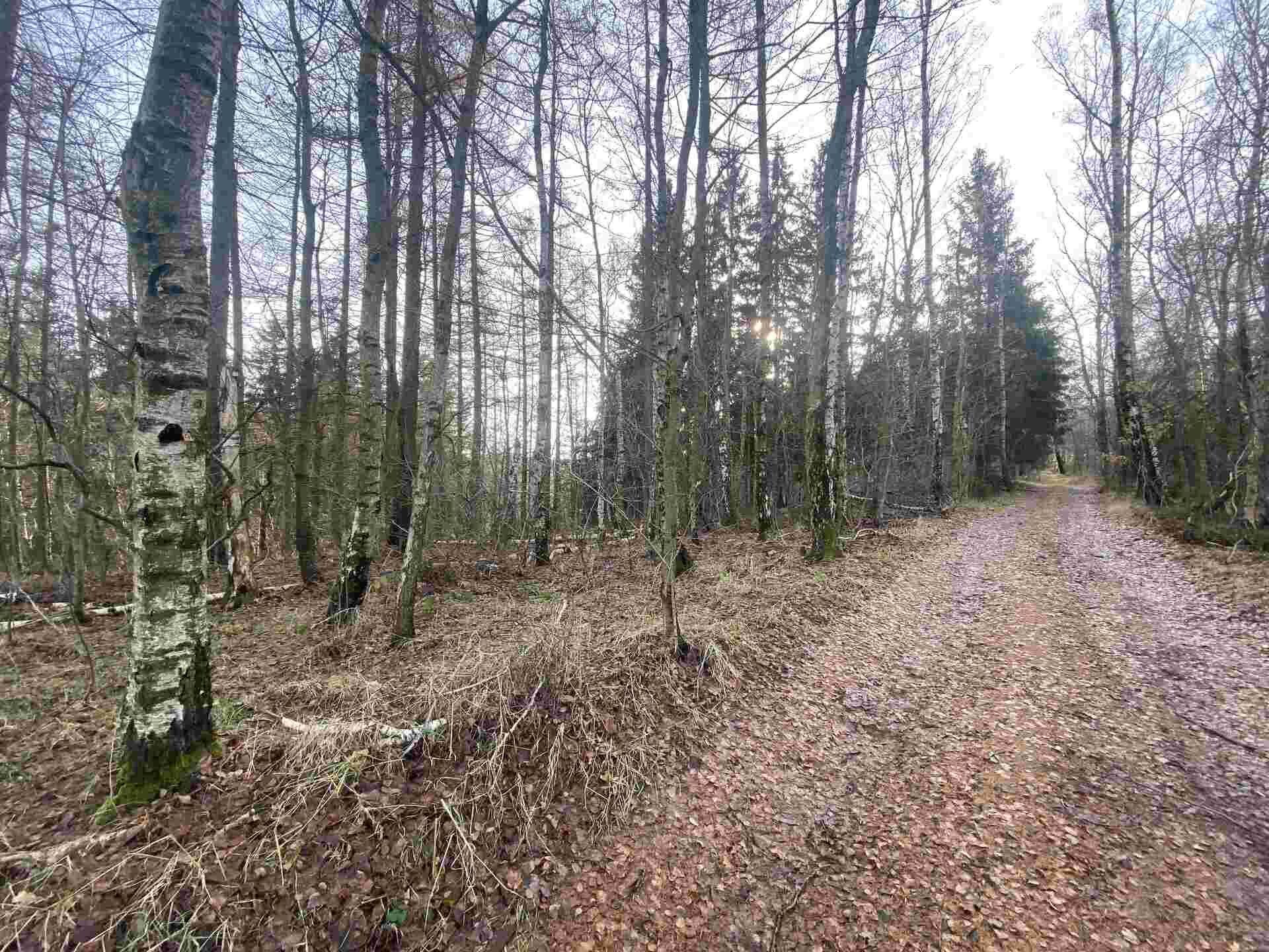 Prodej pozemků Vojtěchov u Hlinska