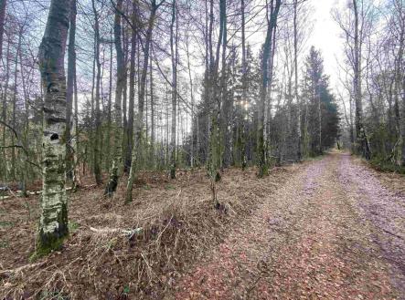 Prodej - pozemek, ostatní, 3 569 m²