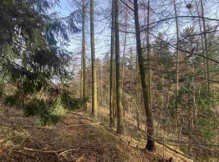 Prodej - pozemek, ostatní, 3 569 m²