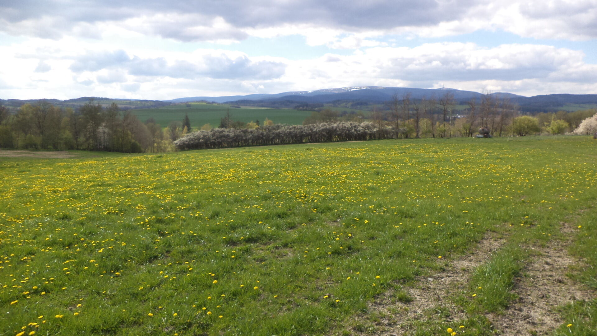 Prodej pozemku v k.ú. Malá Véska, obec Staré Město