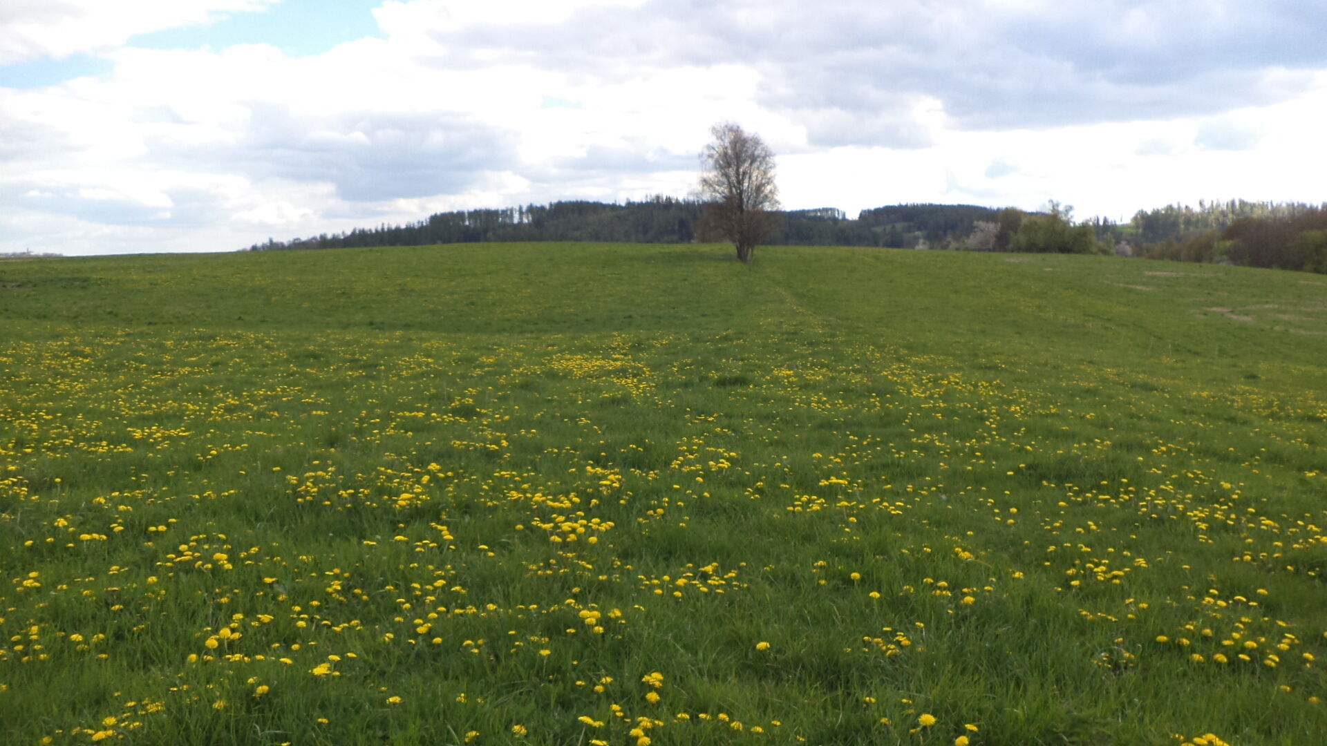 Prodej pozemku v k.ú. Malá Véska, obec Staré Město