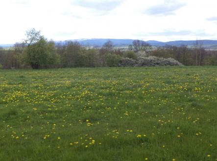 Prodej - pozemek, ostatní, 10 063 m²