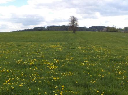 Prodej - pozemek, ostatní, 10 063 m²