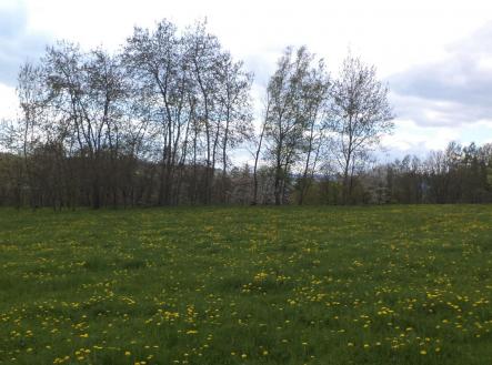 Prodej - pozemek, ostatní, 10 063 m²