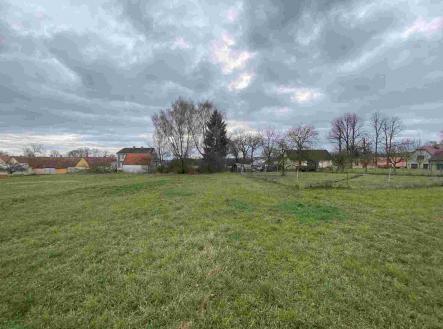 Prodej - pozemek, ostatní, 1 427 m²