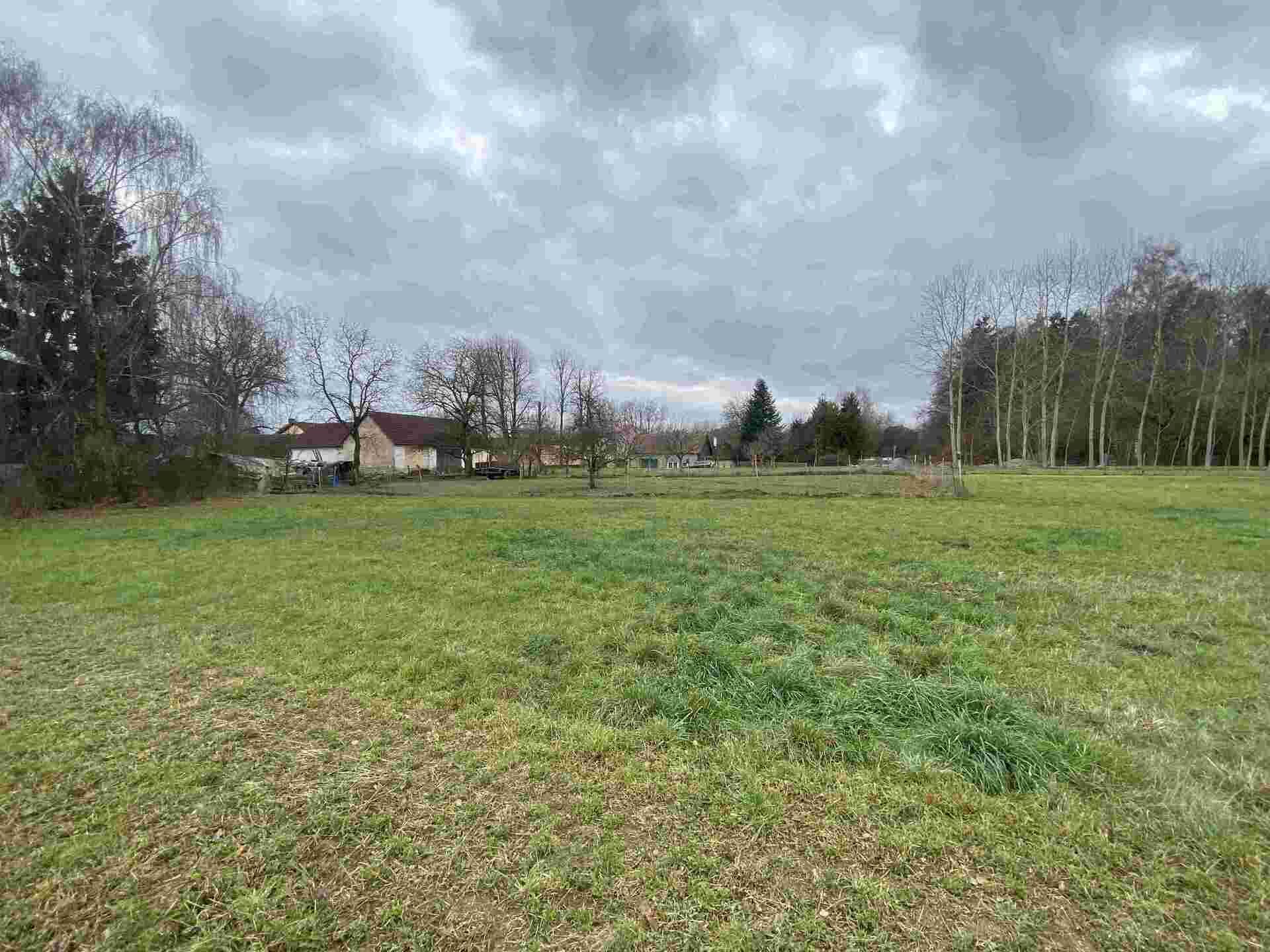 Prodej pozemku Dolní Bukovsko