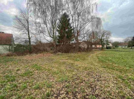 Prodej - pozemek, ostatní, 1 427 m²