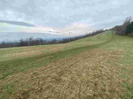 Prodej - pozemek, ostatní, 2 000 m²