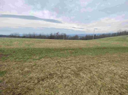 Prodej - pozemek, ostatní, 2 000 m²