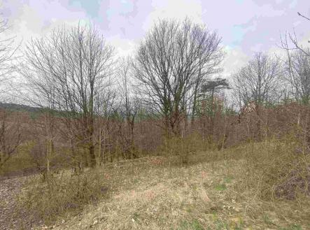 Prodej - pozemek, ostatní, 2 000 m²