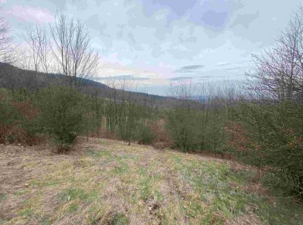 Prodej - pozemek, ostatní, 1 000 m²