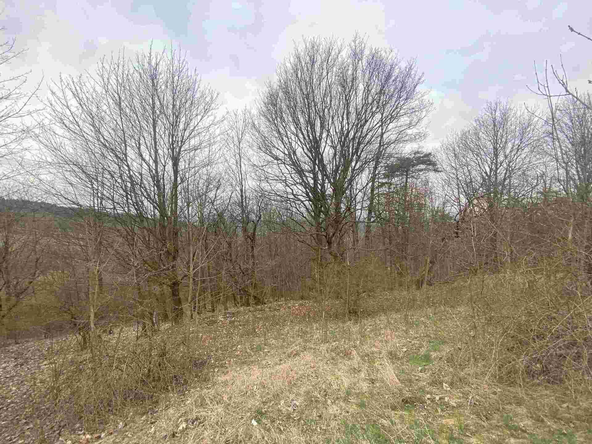 prodej pozemku Vesec pod Kozákovem