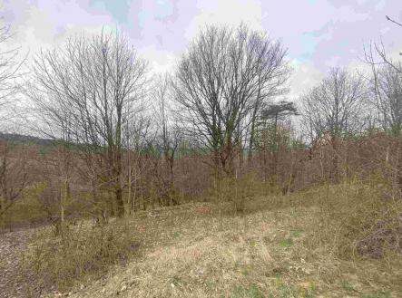 Prodej - pozemek, ostatní, 1 000 m²