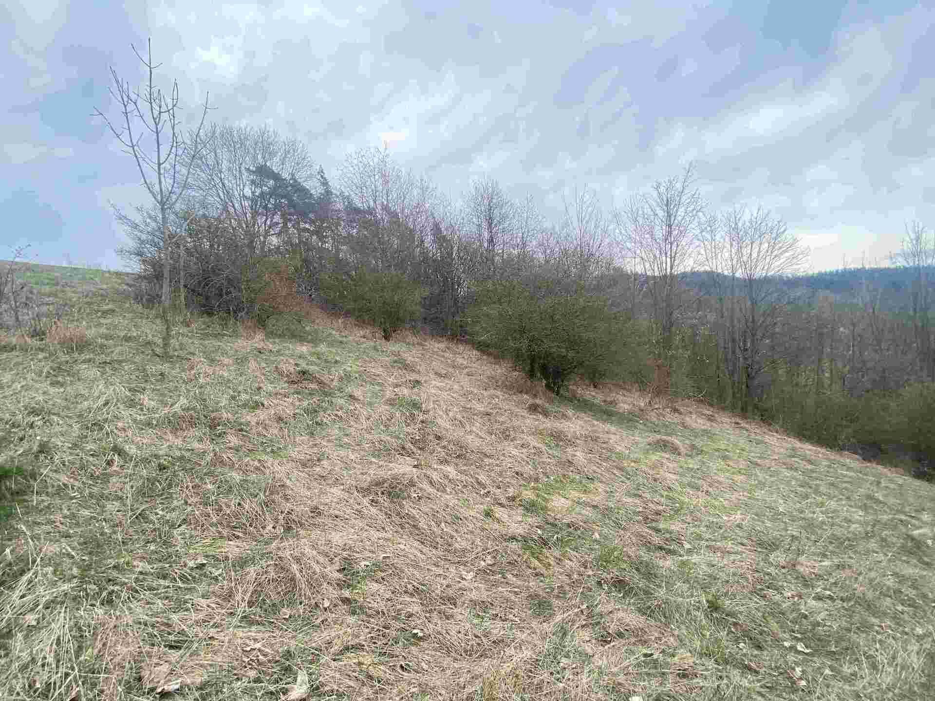 prodej pozemku Vesec pod Kozákovem