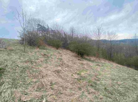 Prodej - pozemek, ostatní, 1 000 m²