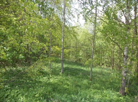 Prodej - pozemek, ostatní, 1 958 m²