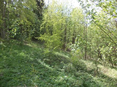 Prodej - pozemek, ostatní, 1 958 m²