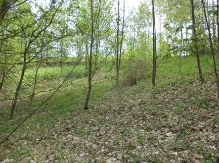 Prodej - pozemek, ostatní, 1 958 m²