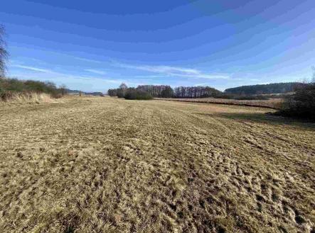 Prodej - pozemek, zemědělská půda, 10 470 m²