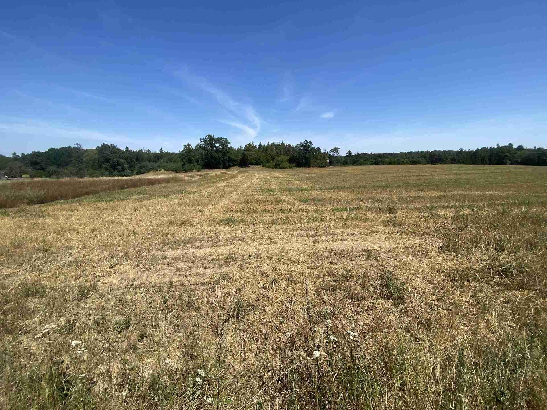 Prodej zemědělského pozemku Dědovice