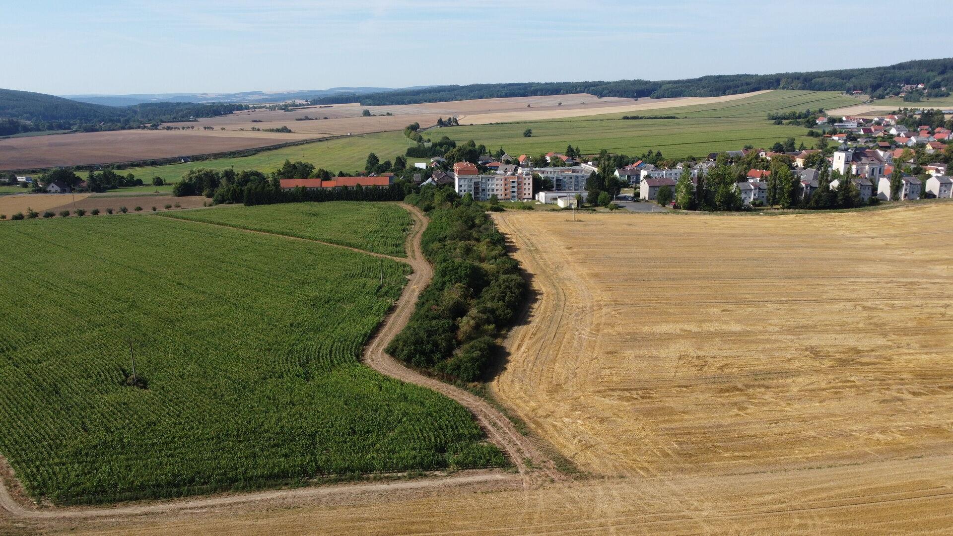 dražba pozemku k.ú. Žihle