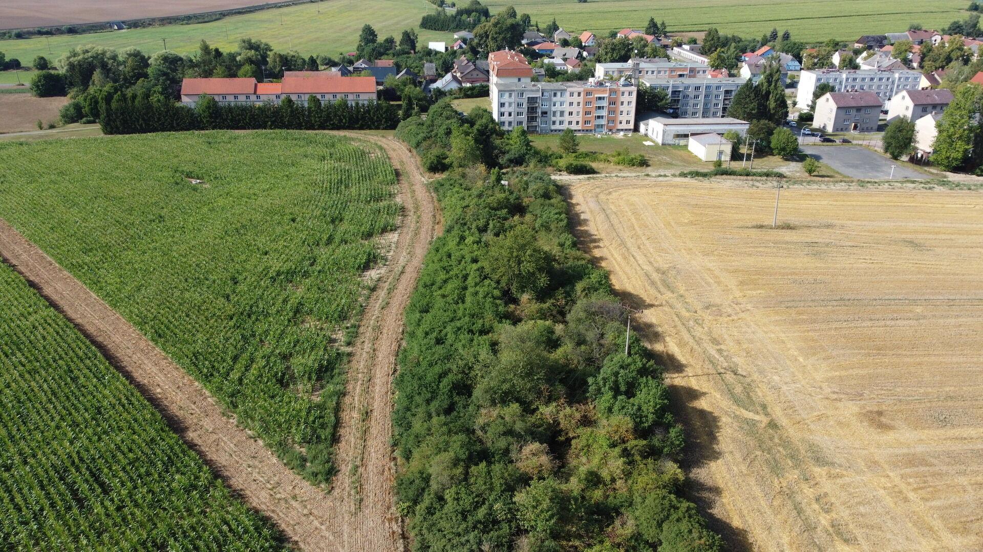 dražba pozemku k.ú. Žihle