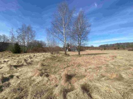 Prodej - pozemek, zemědělská půda, 3 300 m²