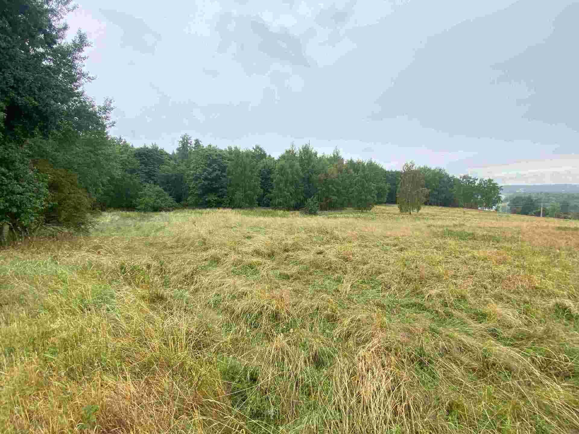 prodej pozemku Loučky u Lokte