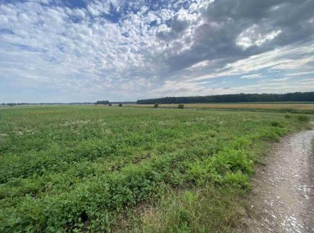 Prodej - pozemek, zemědělská půda, 16 506 m²