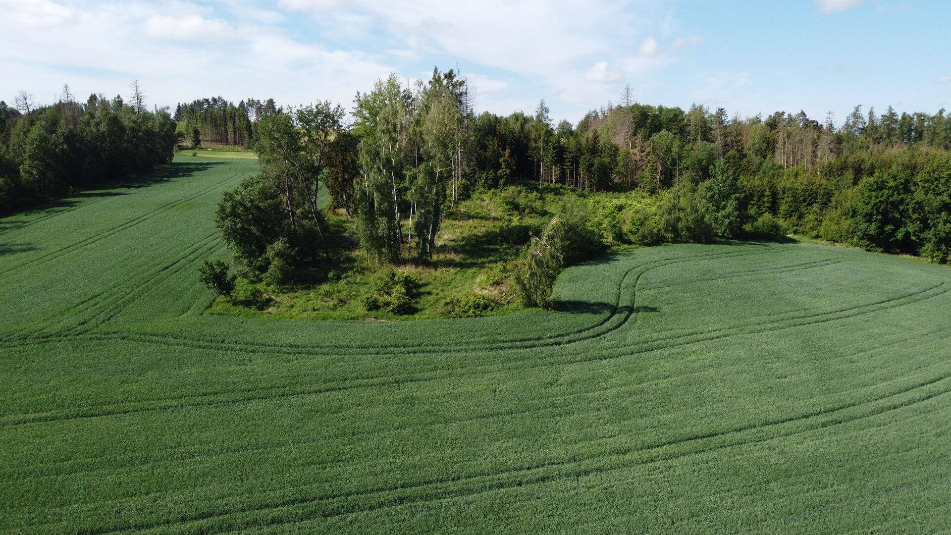 DRAŽBA pozemků Kundratice u Křižanova