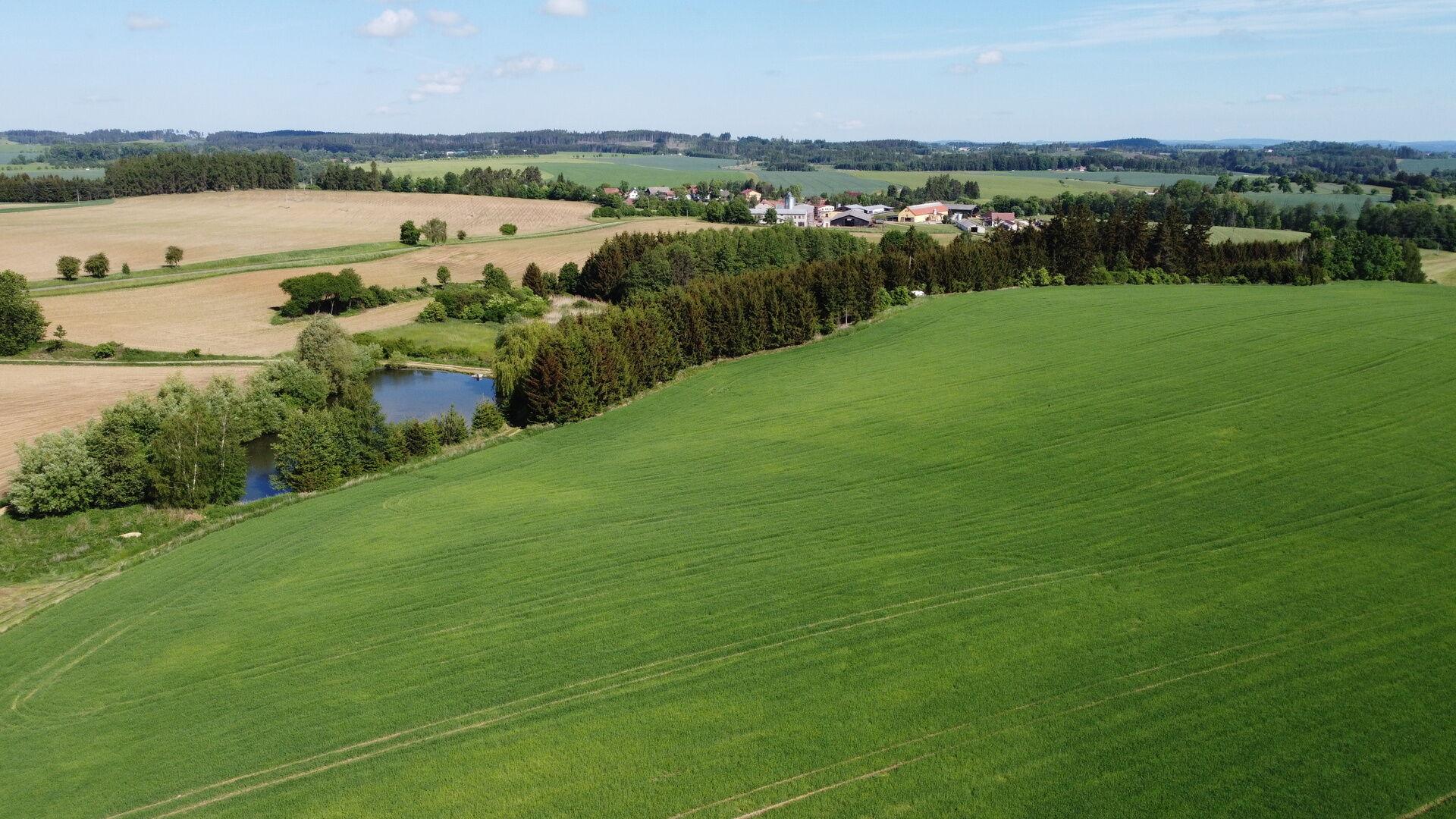 DRAŽBA pozemků Kundratice u Křižanova