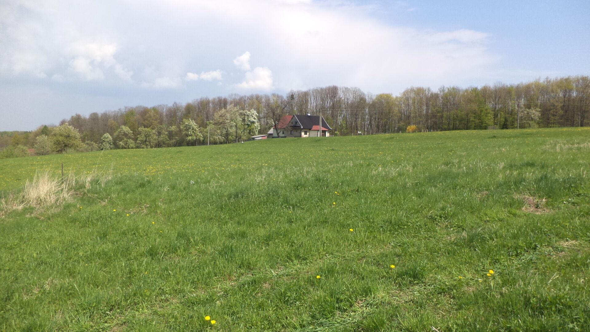 Dražba pozemků Chotěbuz