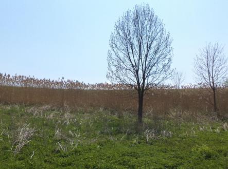 Prodej - pozemek, ostatní, 6 967 m²