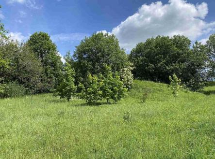 Prodej - pozemek, ostatní, 1 831 m²