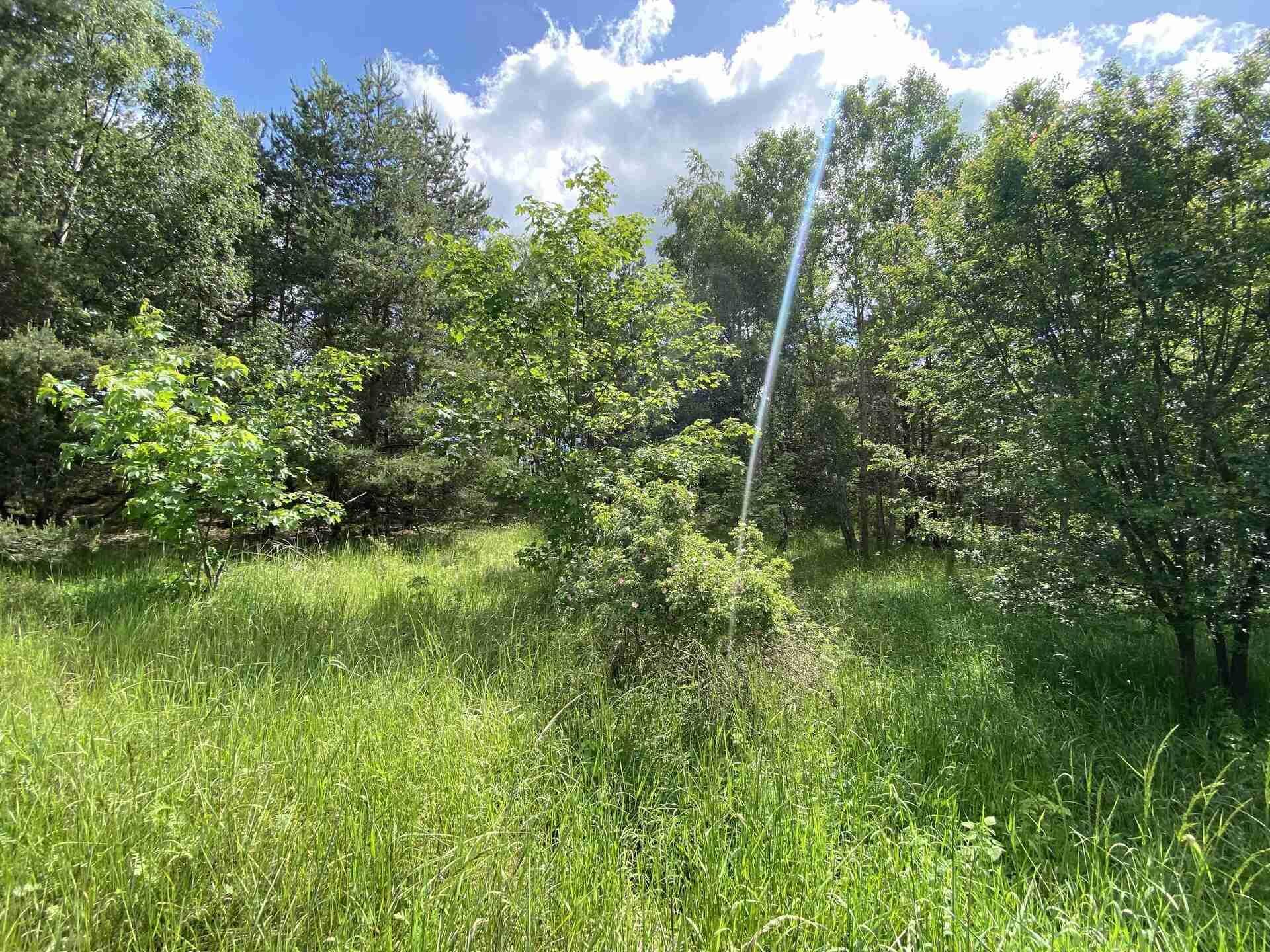 Dražba pozemku Stálkov