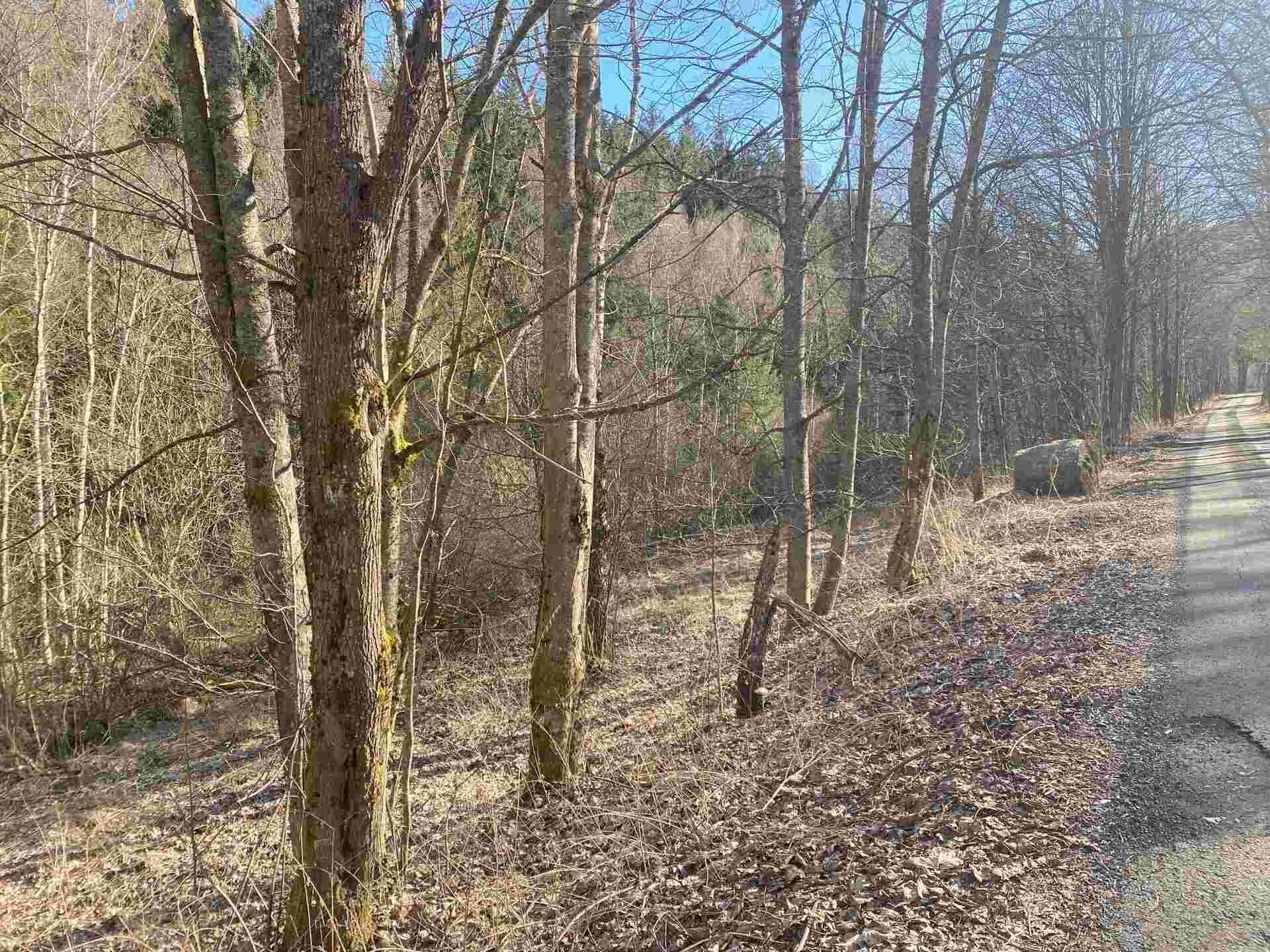 dražba pozemku k.ú. Javorná na Šumavě