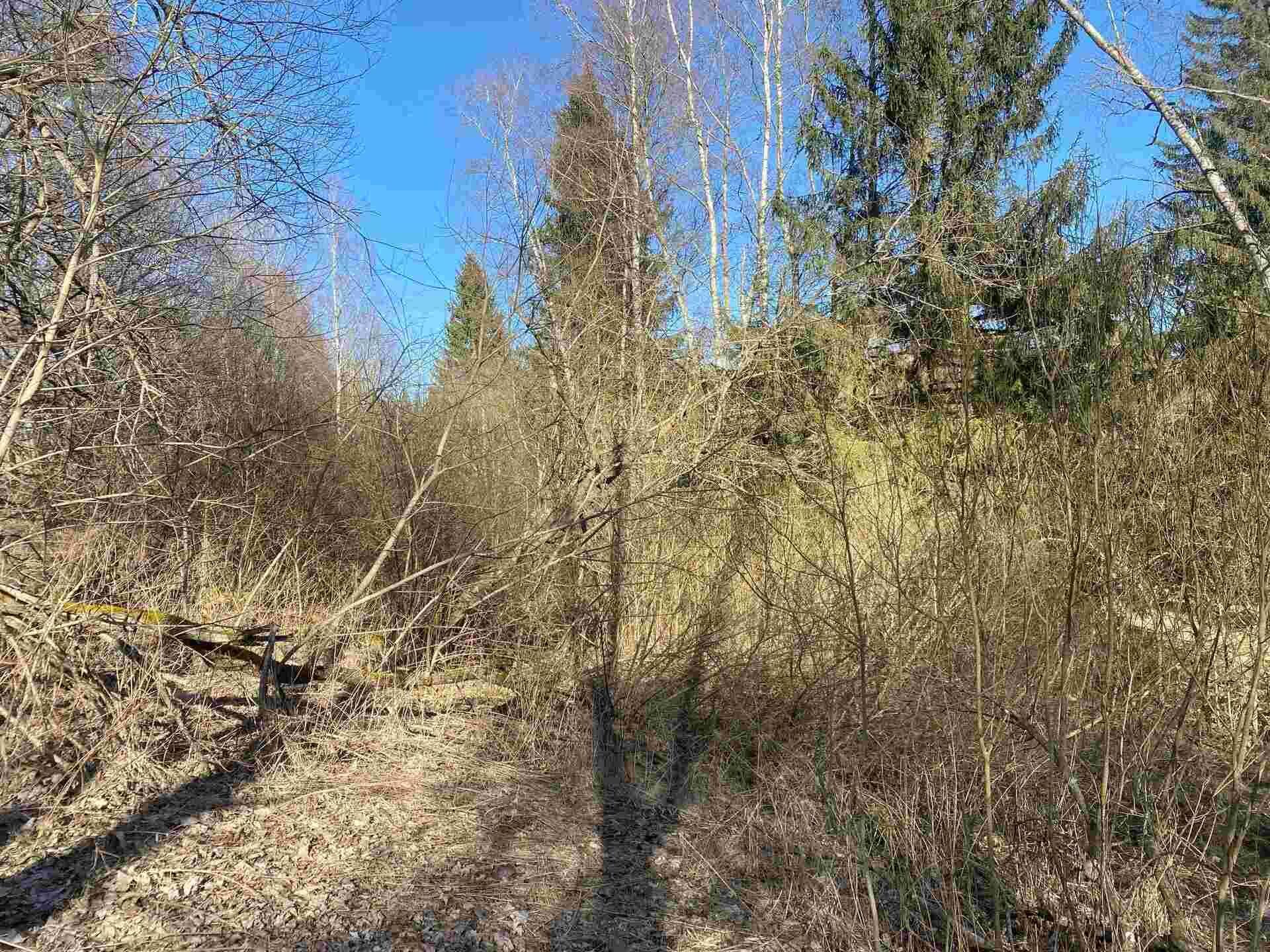 dražba pozemku k.ú. Javorná na Šumavě