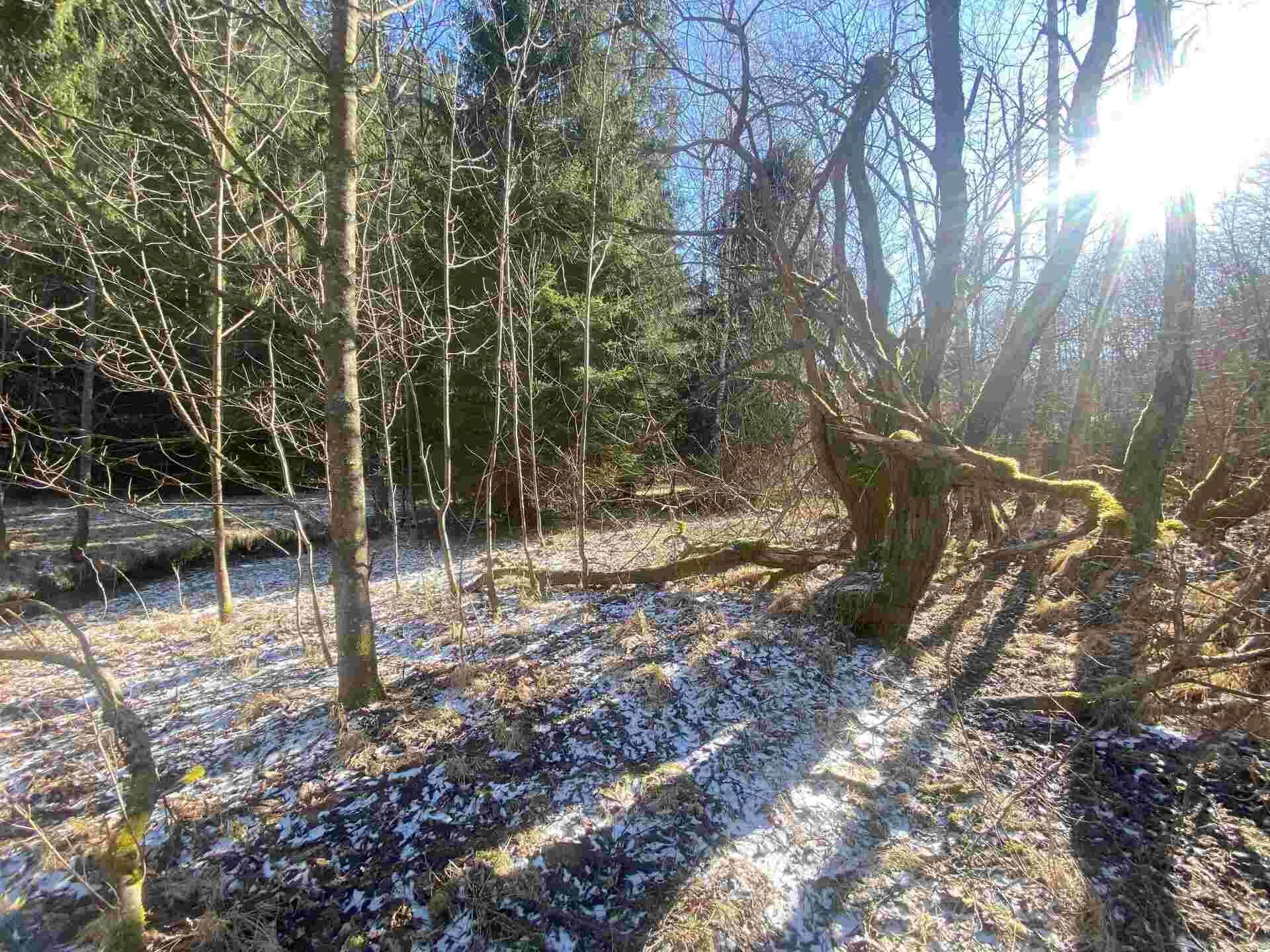 dražba pozemku k.ú. Javorná na Šumavě