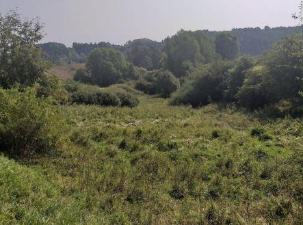 Prodej - pozemek, zemědělská půda, 34 244 m²