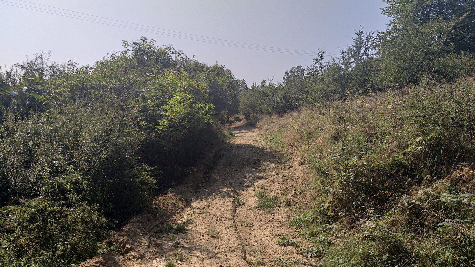 dražba pozemku k.ú. Úterý