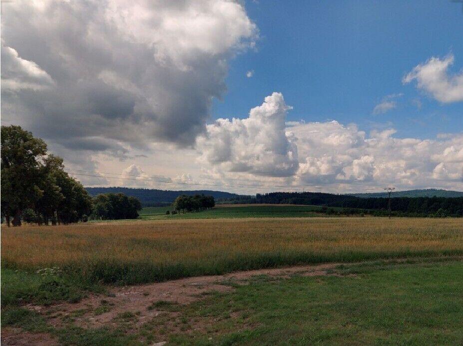 Prodej pozemku Kostelec