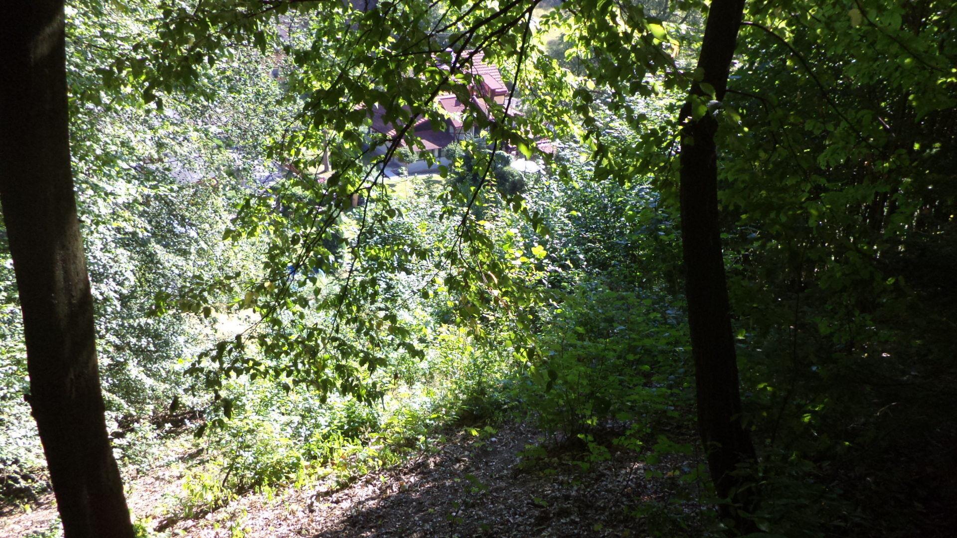 dražba pozemku Bělá u Děčína