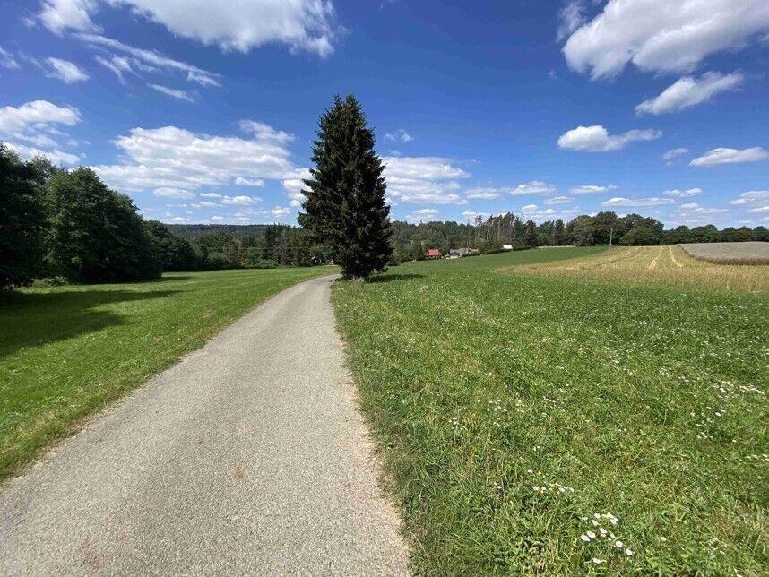 DRAŽBA pezemku Boňkov