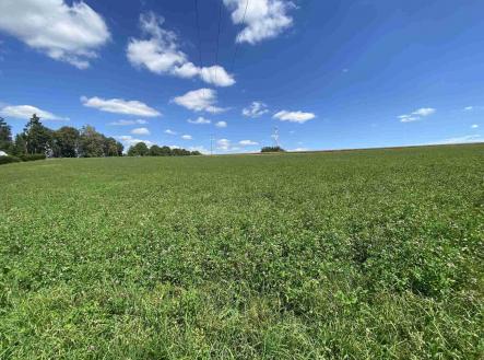 Prodej - pozemek, ostatní, 2 277 m²