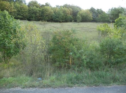 Prodej - pozemek, zemědělská půda, 1 038 m²