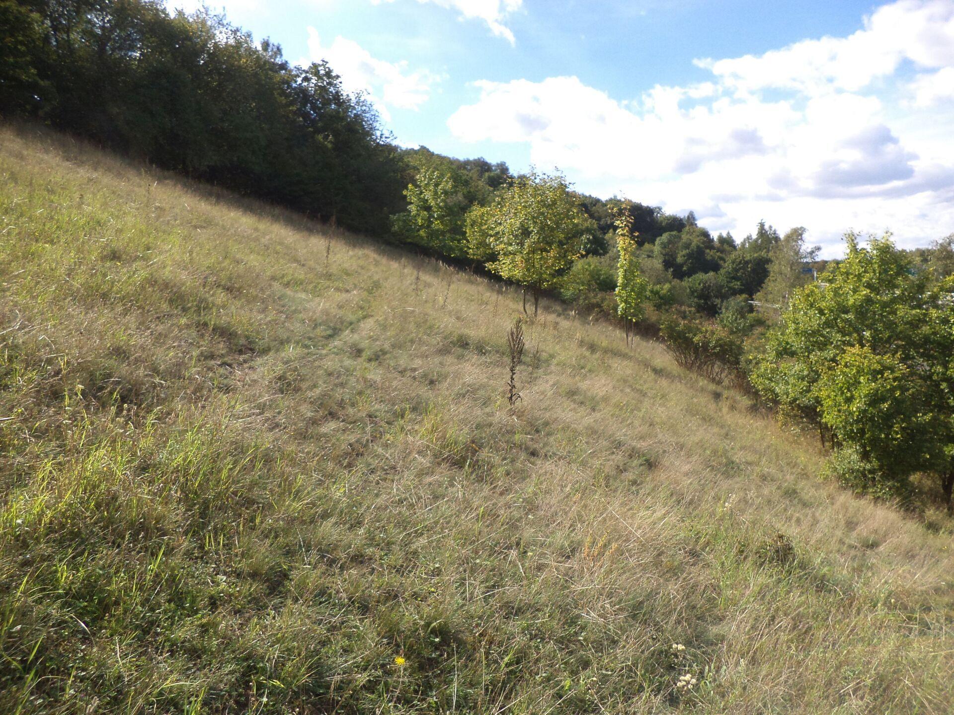 prodej pozemku k.ú. Stadice