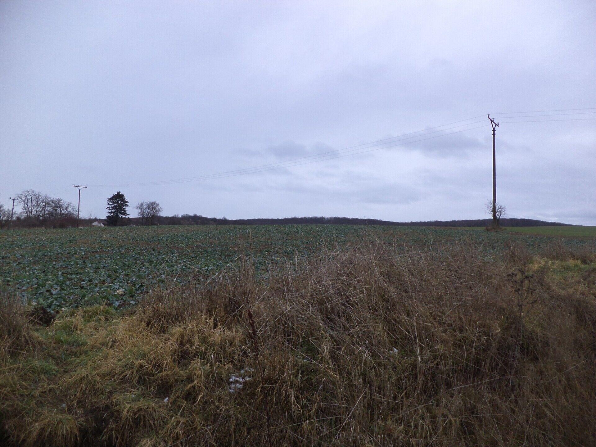 Prodej pozemků Morkůvky