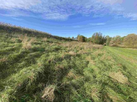 Prodej - pozemek, zemědělská půda, 1 263 m²